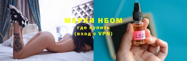 сатива Яровое